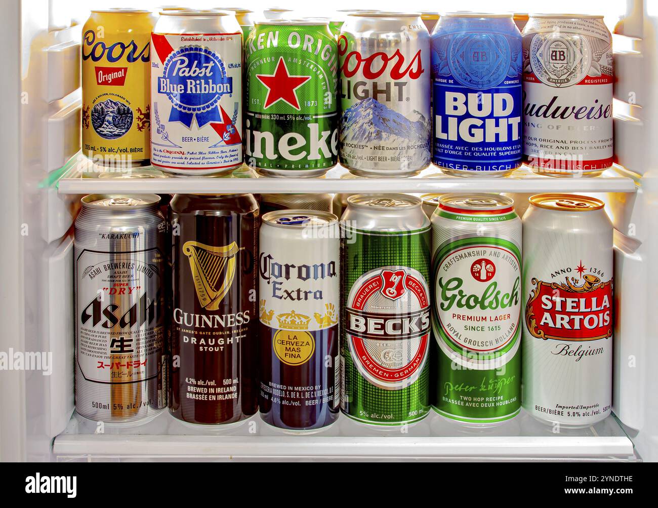 Domestic Beer